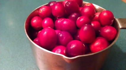 cranberries plain
