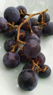 Grapes
