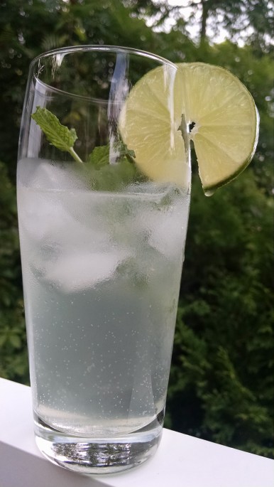 Lemon Lime Cocktail 2