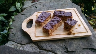 Camp Fire Girl bars done