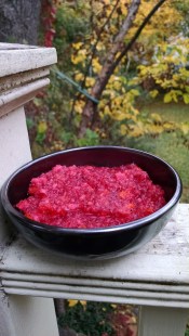 Cranberry Sauce - Dina 1