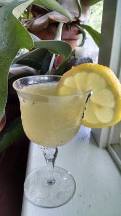 Lemon cocktail Charleston