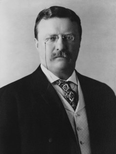 theodore_roosevelt_1904-library-of-congress