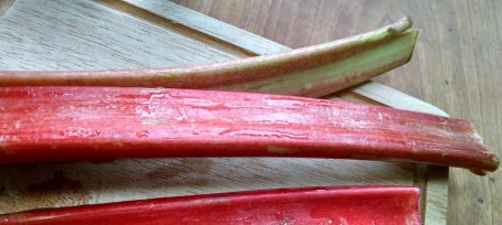 Rhubarb stalks